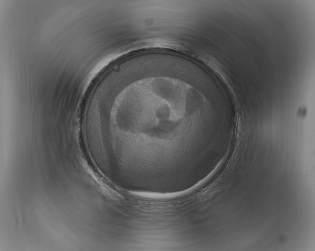 X0000110921024200907091452