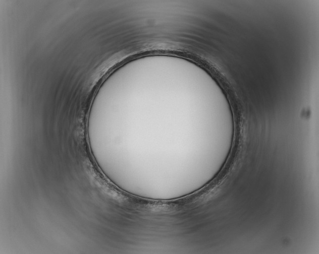 X0000110921025200907091452
