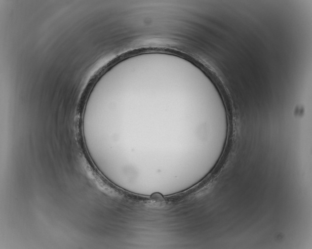 X0000110921029200907091452