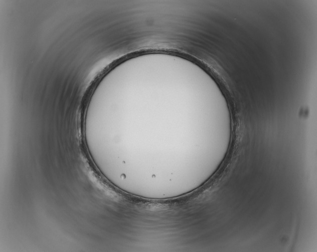 X0000110921030200907091452