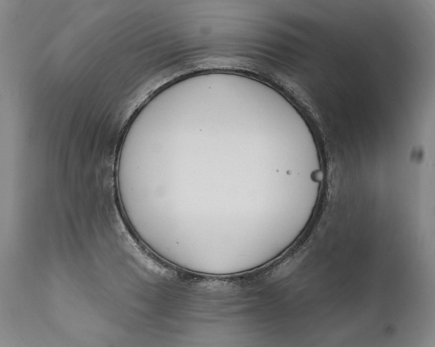 X0000110921033200907091452
