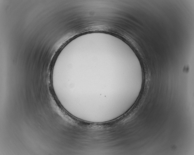 X0000110921034200907091452