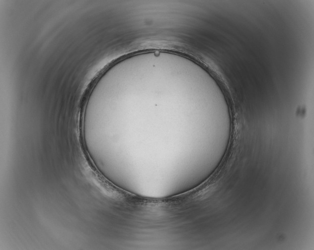 X0000110921035200907091452