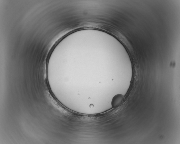 X0000110921036200907091452