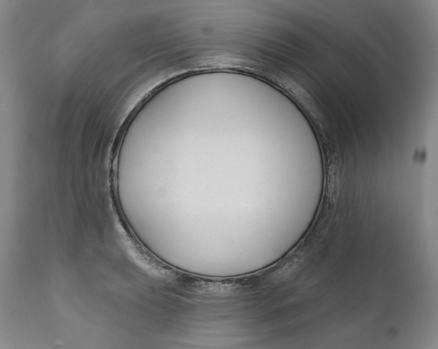 X0000110921039200907091453