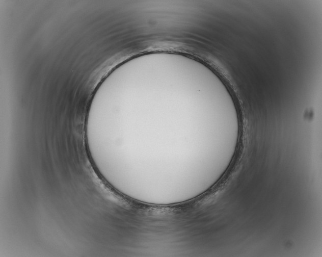 X0000110921041200907091453