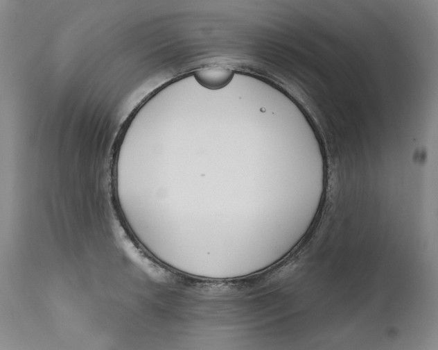 X0000110921042200907091453