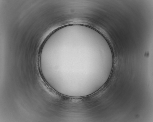 X0000110921043200907091453