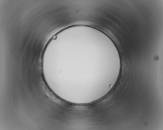 X0000110921044200907091453
