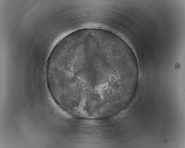 X0000110921045200907091453