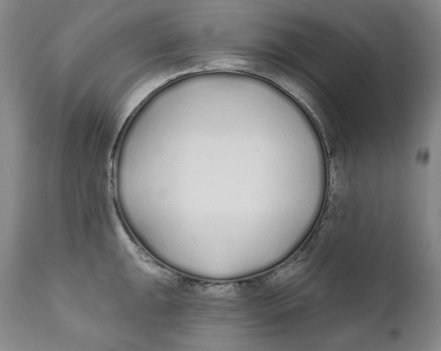 X0000110921047200907091453