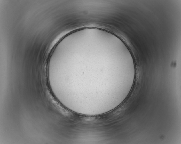 X0000110921048200907091453