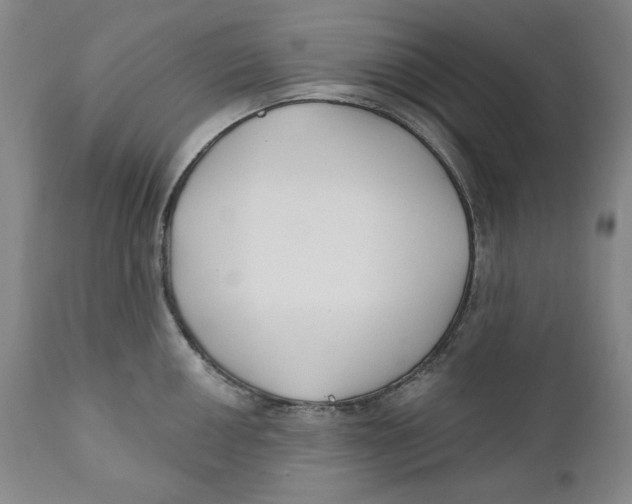 X0000110921050200907091453