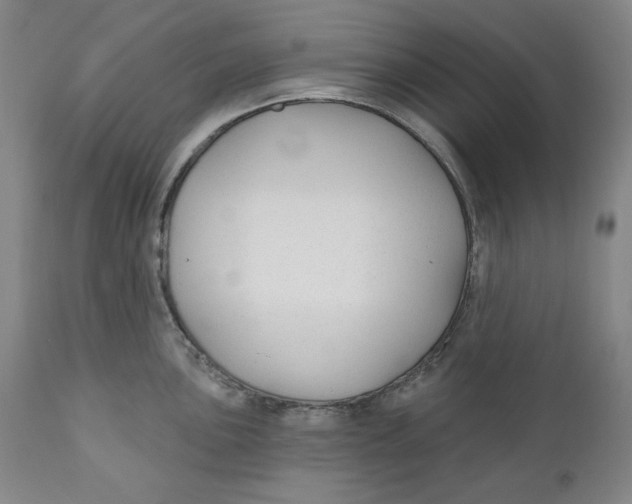 X0000110921051200907091453