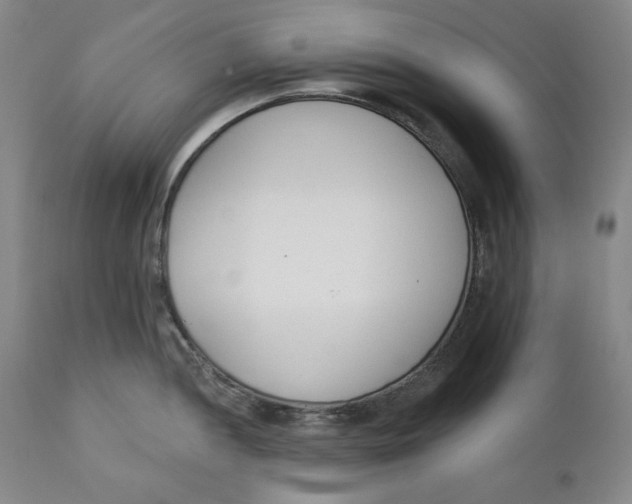 X0000110921052200907091453