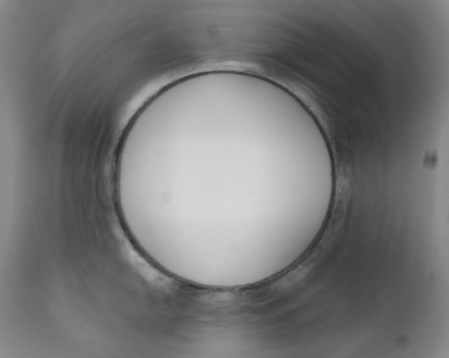 X0000110921054200907091453