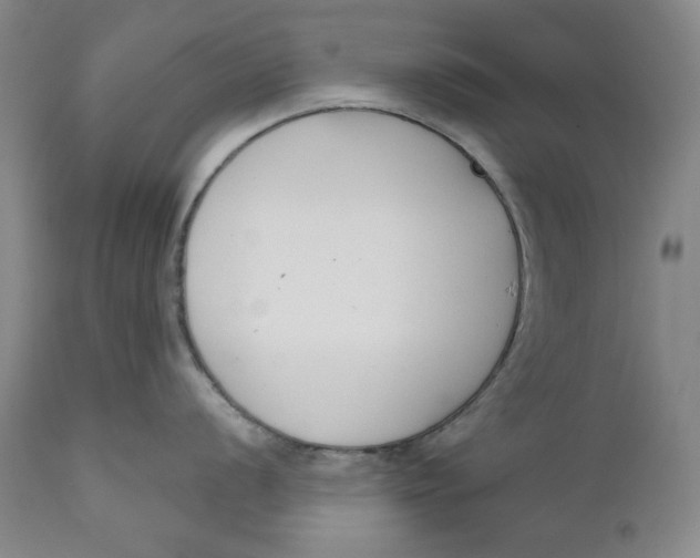 X0000110921056200907091453