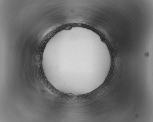 X0000110921064200907091452