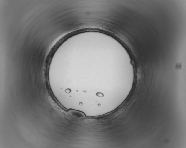 X0000110921068200907091452