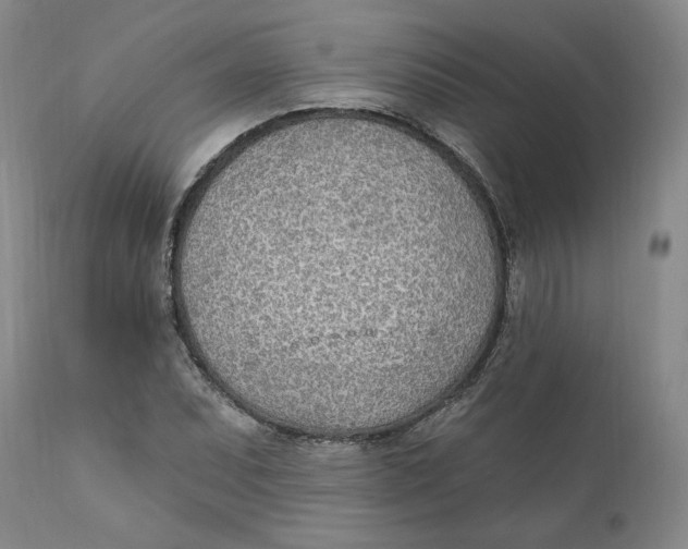X0000110921071200907091452