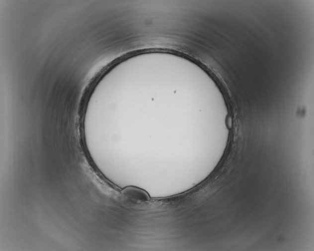 X0000110921072200907091452