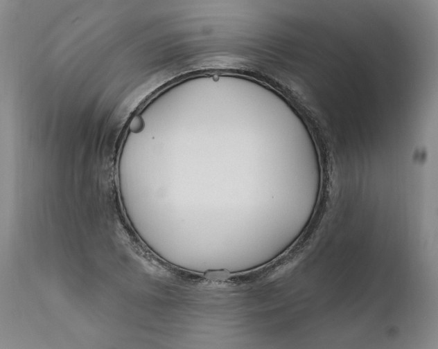 X0000110921073200907091452
