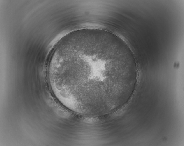 X0000110921074200907091452