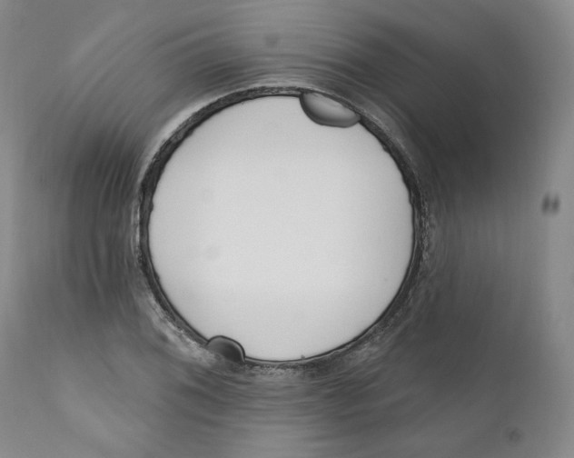 X0000110921076200907091452