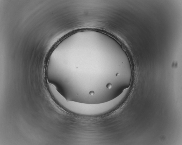 X0000110921077200907091452