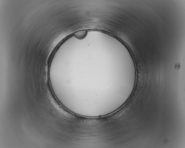 X0000110921079200907091452