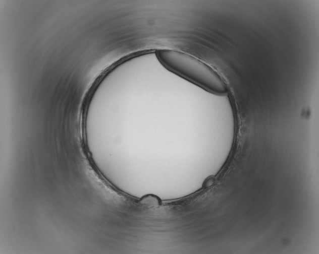 X0000110921080200907091452