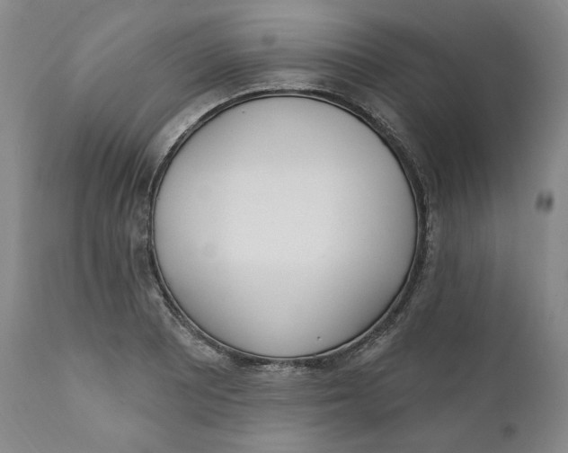 X0000110921081200907091452