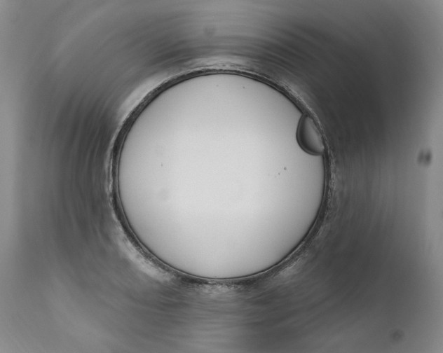 X0000110921082200907091452