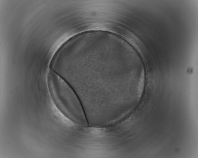 X0000110921084200907091452