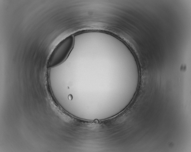 X0000110921085200907091452