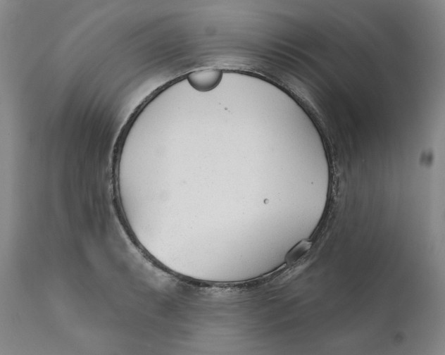 X0000110921087200907091452