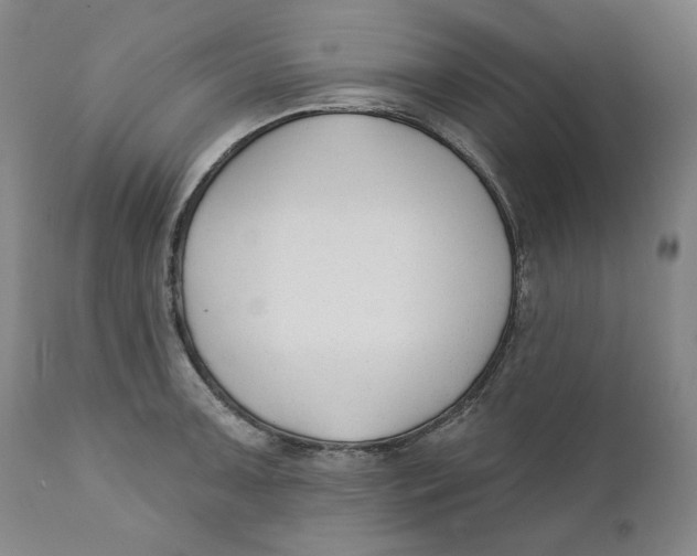 X0000110921091200907091451