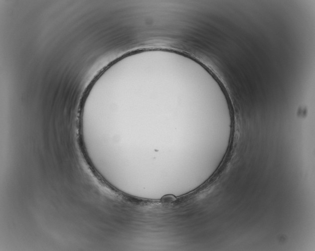 X0000110921093200907091451