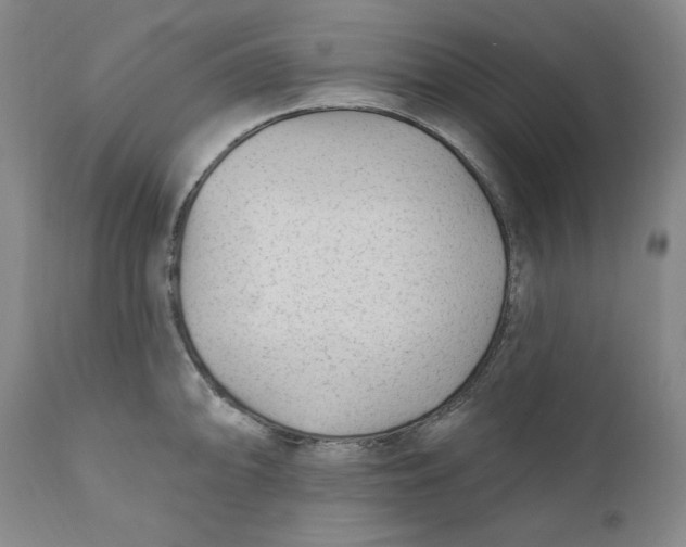 X0000110921094200907091451