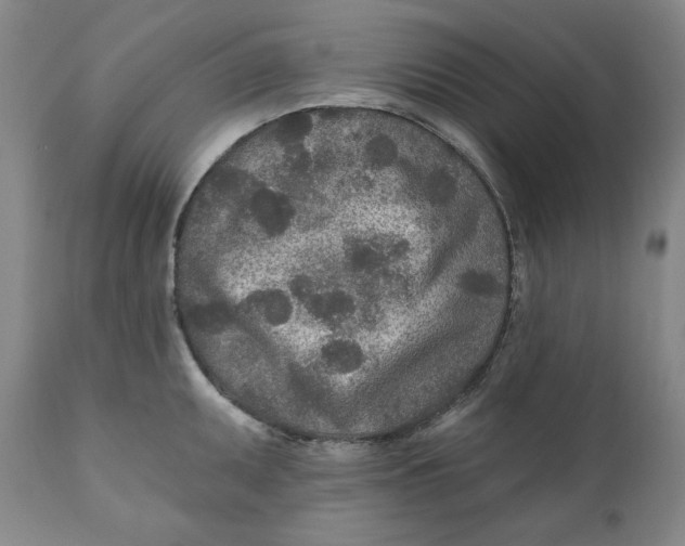 X0000110921095200907091451