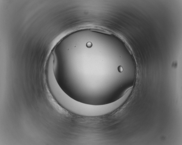 X0000110921098200907091451