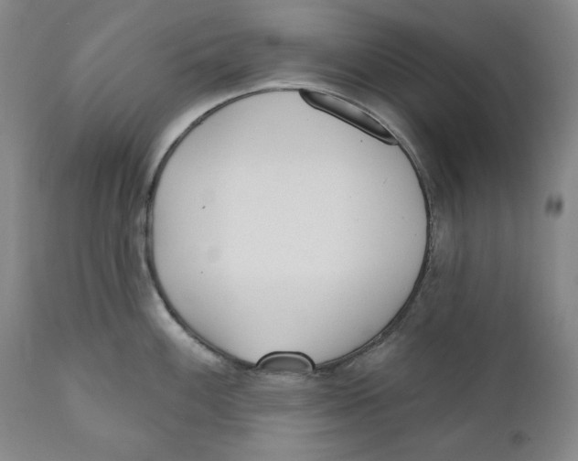 X0000110921100200907091451