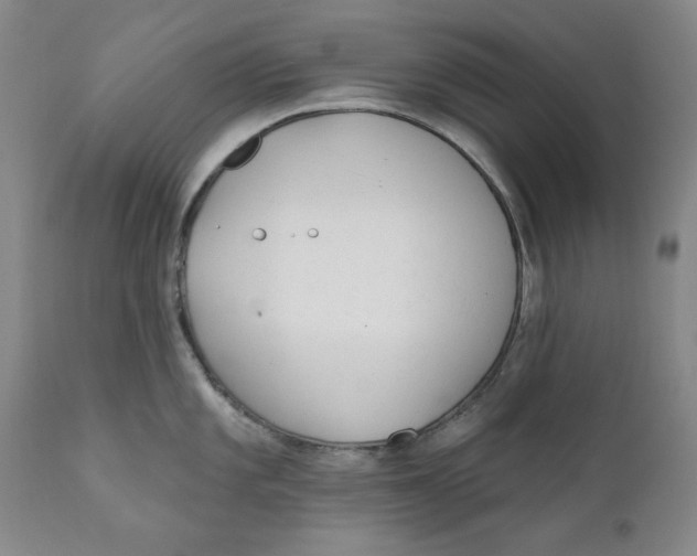 X0000110921101200907091451