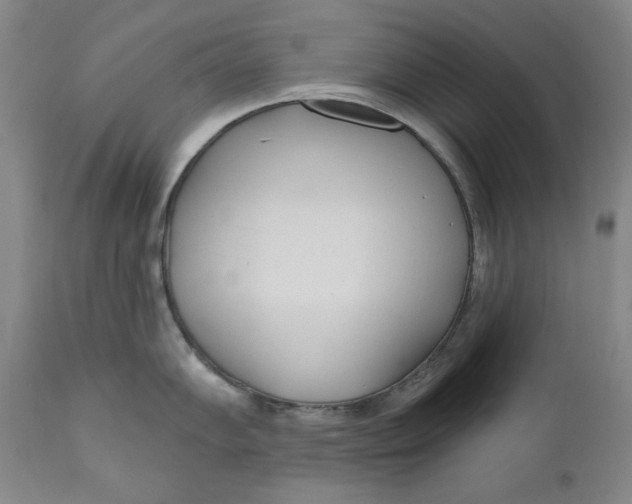 X0000110921102200907091451
