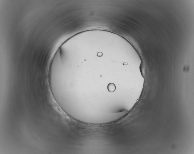 X0000110921104200907091451