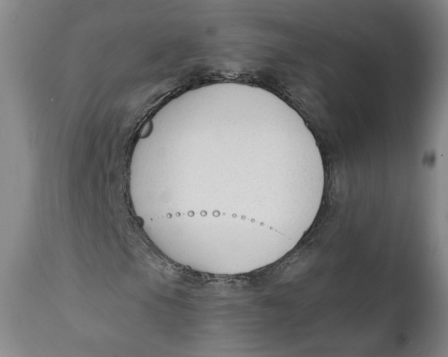 X0000110921105200907091450