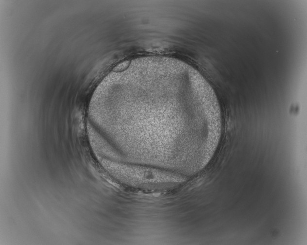 X0000110921106200907091450