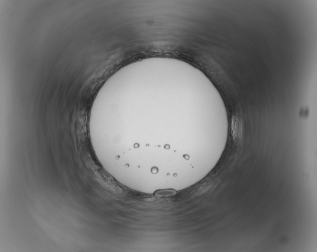 X0000110921107200907091450