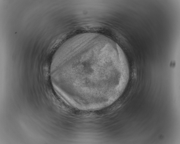 X0000110921108200907091450