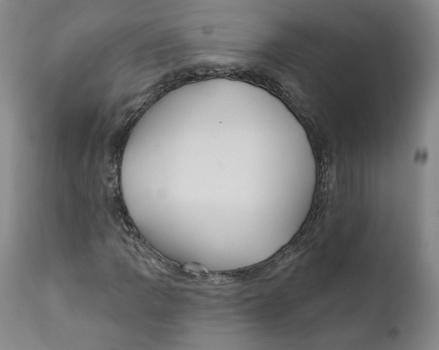 X0000110921109200907091450